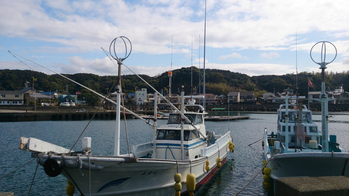 白浜町のフリー写真素材(SO-04Eで撮影:白浜漁港)