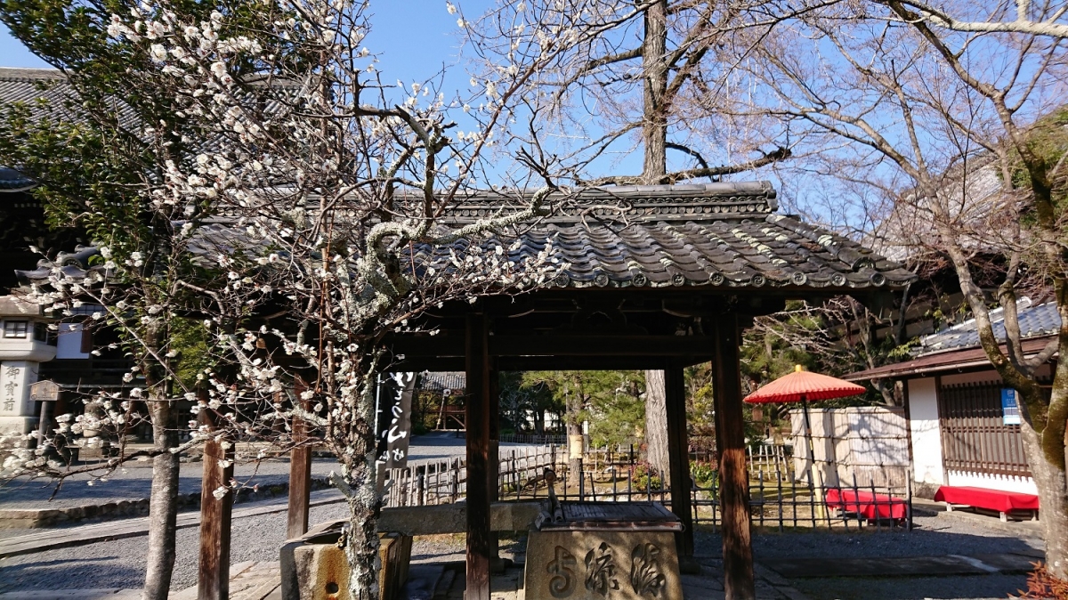 京都市のフリー写真素材:SO-03Jで撮影