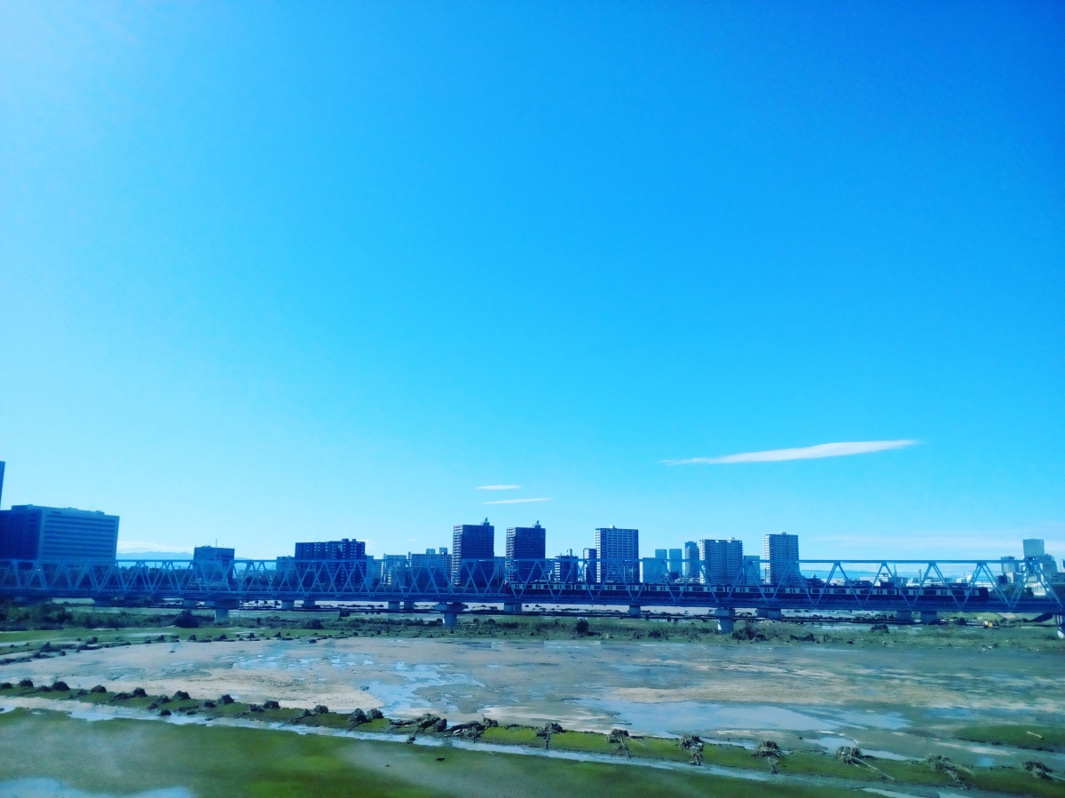 湿原化した多摩川：大田区(ﾌﾘｰ写真素材)