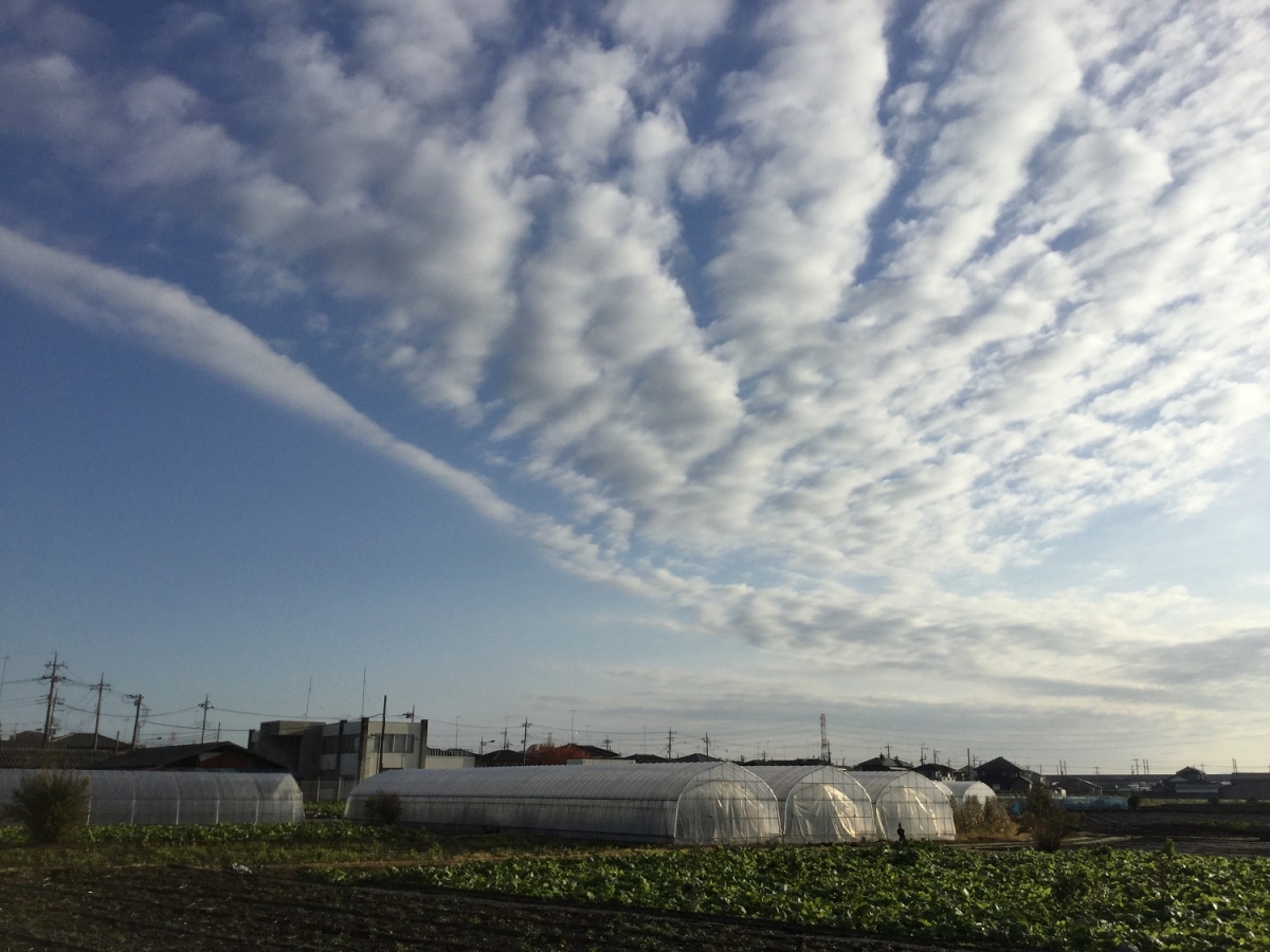 栃木県下野市石橋（朝の光景）
