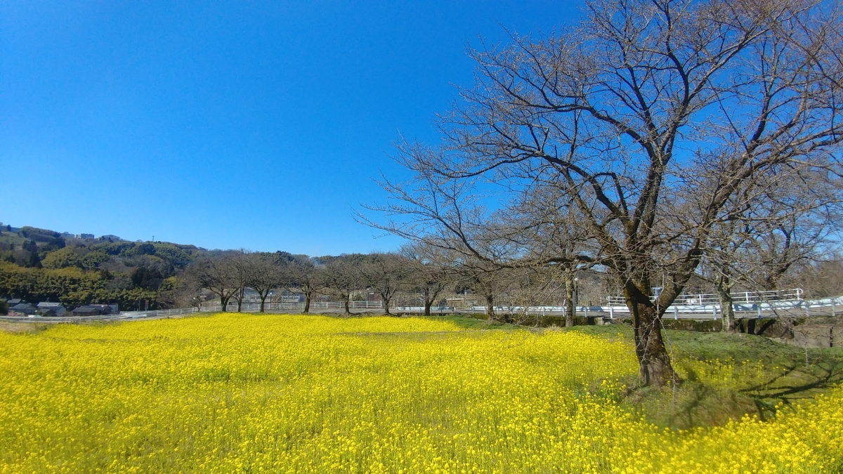 金沢市のフリー写真素材(LG_V20-Proで撮影)