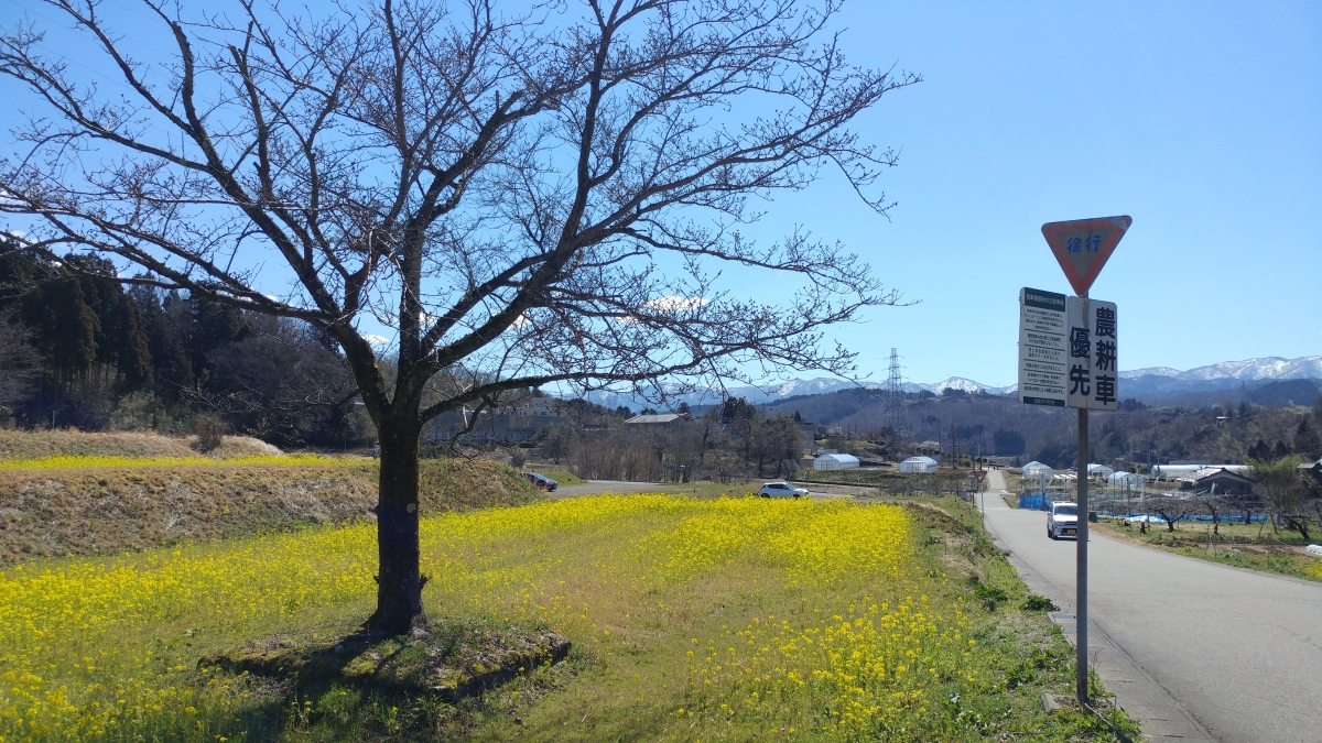 金沢市のフリー写真素材(LG_V20-Proで撮影)