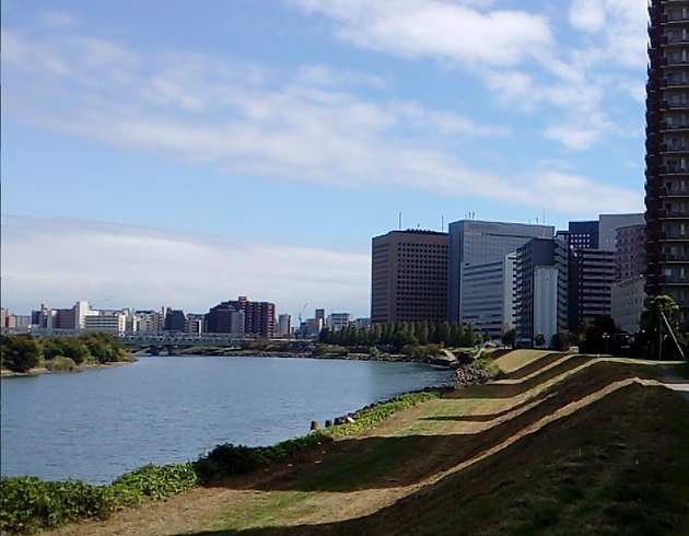 川崎市幸区の多摩川河川敷