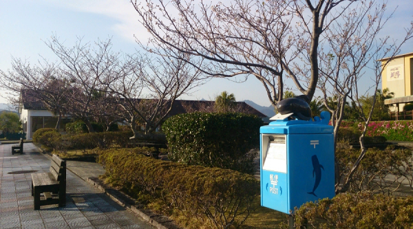 イルカポスト