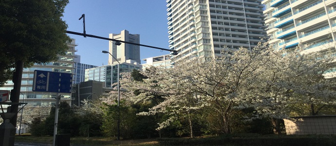 下層ページタイトル背景